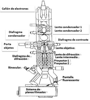Microscopio electronico 3