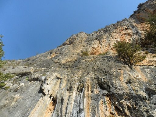 Sector Patiras Mas 1