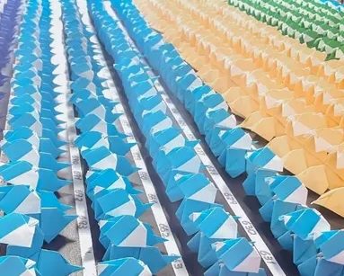 Record Guinnes origami 2021