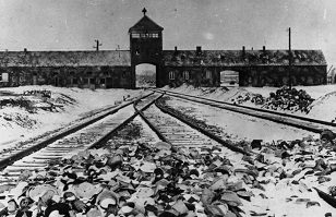 Horror en Auschwitz