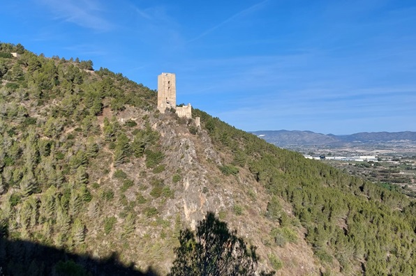 Castell de Carricola