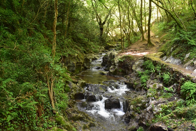 Ruta cuevas de Zugarramurdi 3