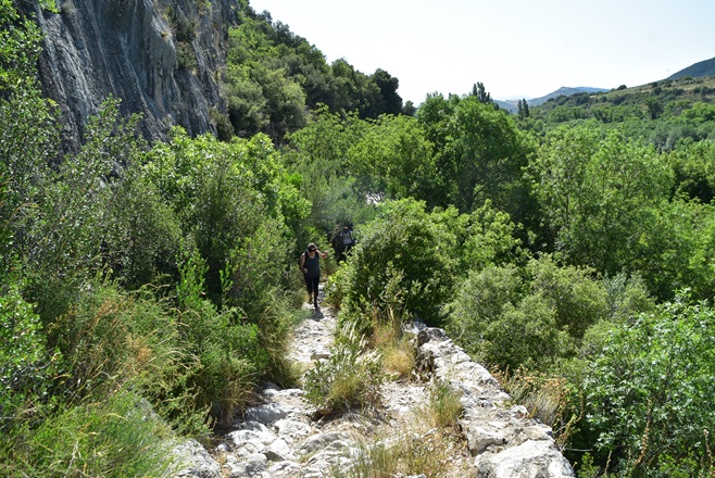 Foz de Lumbier 3