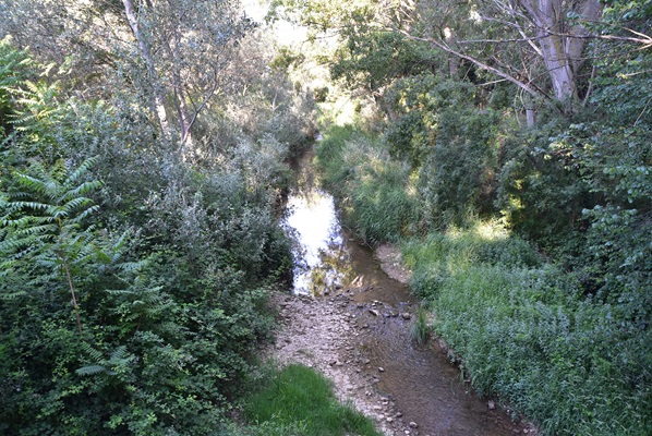 Ruta de las fuentes de Olite 1