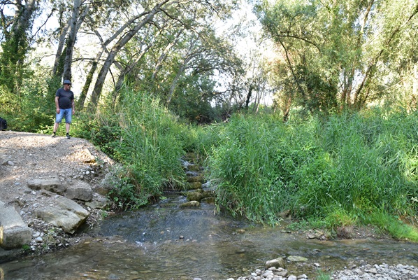 Ruta de las fuentes de Olite 5