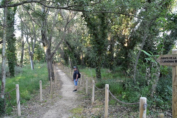 Ruta de las fuentes de Olite