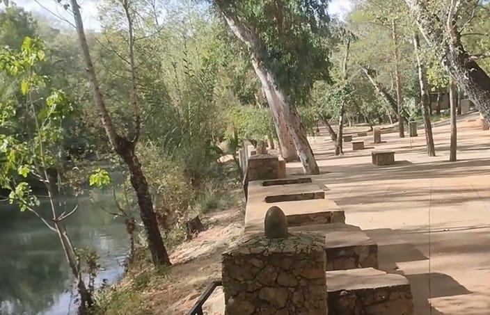 Jardines junto al Segura