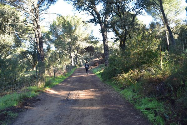 Primeros tramos ruta