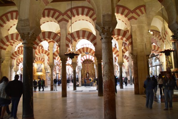 Bosque de palmeras de la mezquita