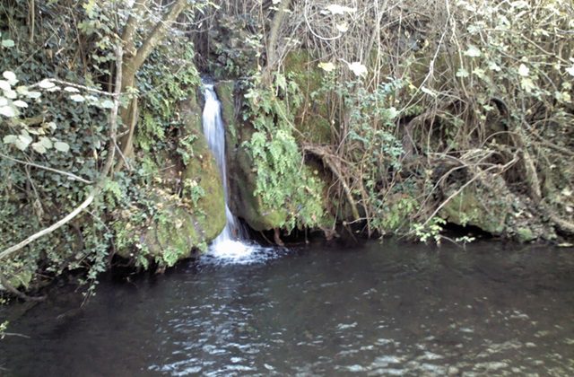 Naturaleza en Trassierra