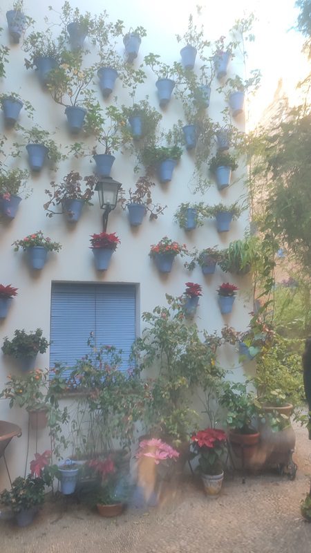 Patios de Córdoba 2